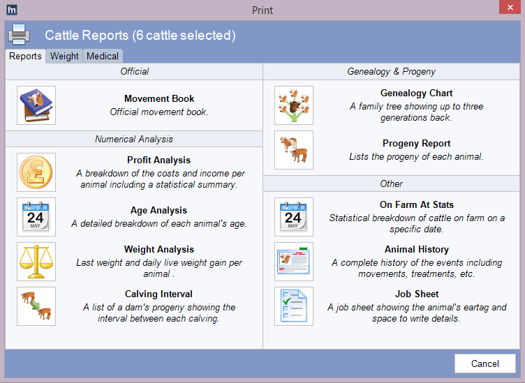 Cattle Reports